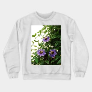 Purple Haze Passifloras Crewneck Sweatshirt